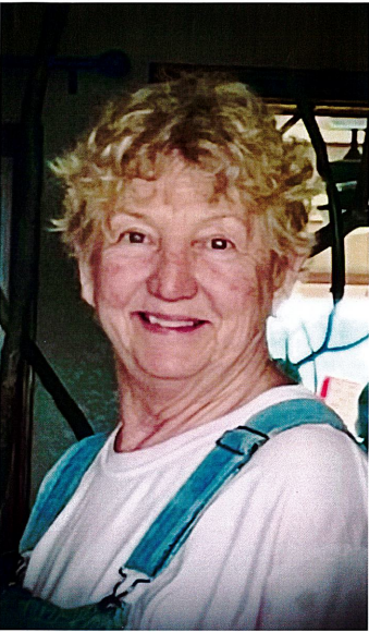 photo of Judy Van Hamilton