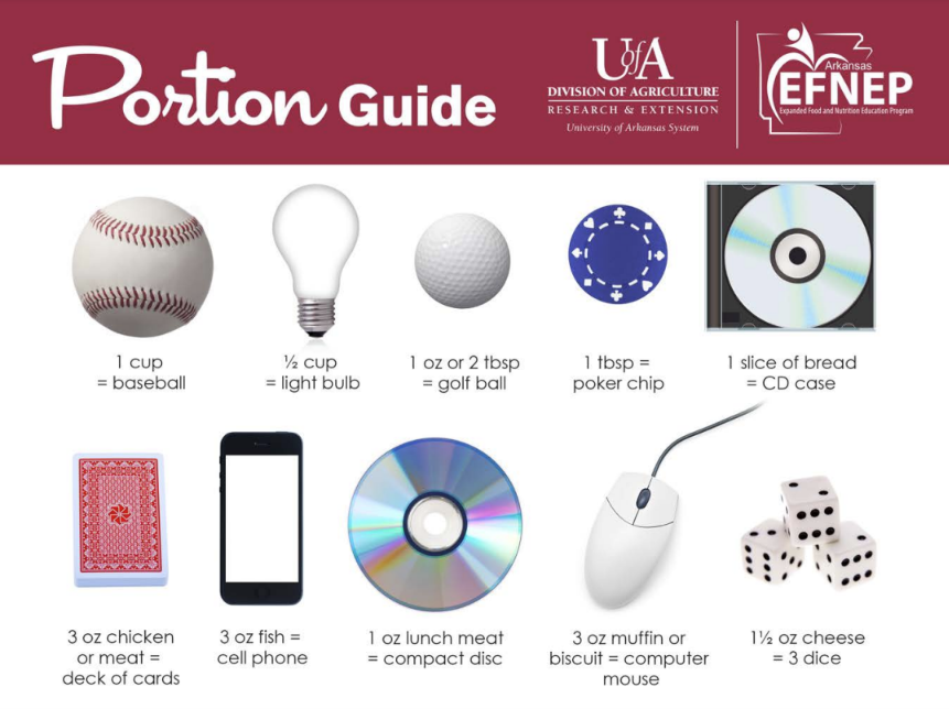 Food Portion Guide, more information located after image. 