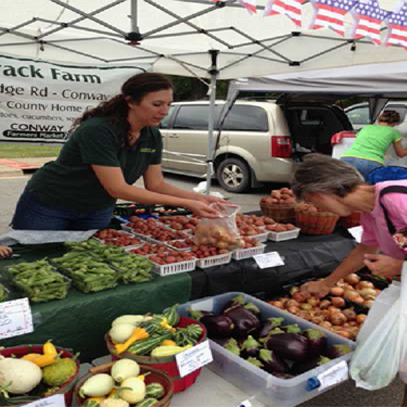 Farmer’s market booth display of eggplant, squash, onion, okra, and new potatoes. Saleswoman holds bag as customer fills it with small onions.