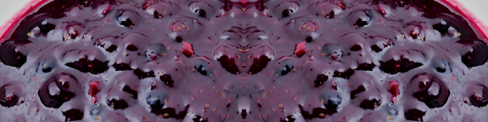 glossy blueberry sauce with bits of fruit