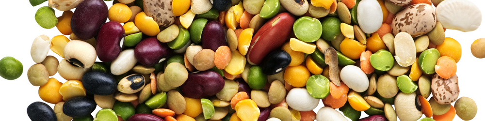 colorful mixture of dried beans, peas, and lentils