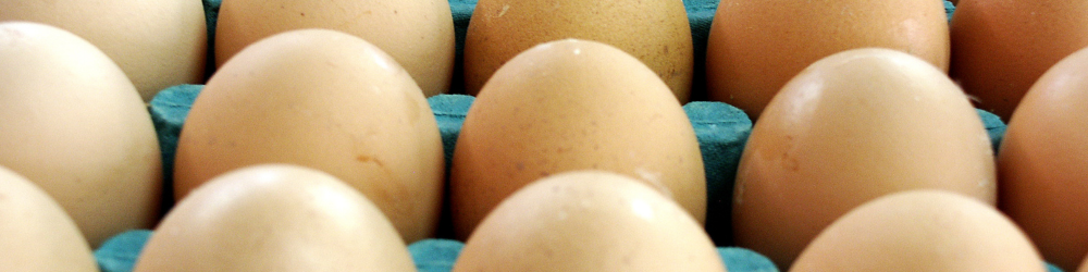 Carton of Eggs