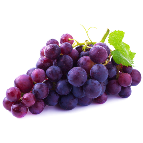 bunch of purple grapes