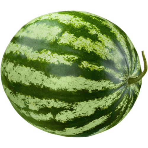 uncut watermelon 