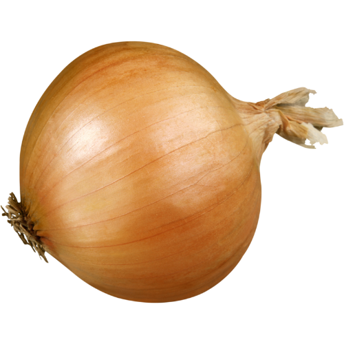 single yellow onion 