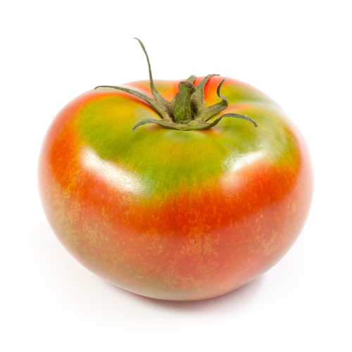 a nearly red ripe tomato with green stem and top