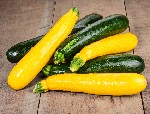 Summer Squash - Cooking, Storage, & Gardening Tips