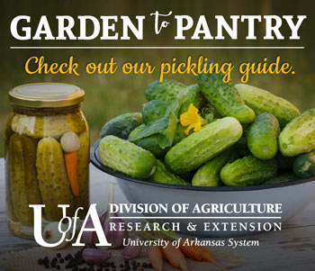 Click image to view our quick process pickle guide! Quick Process Pickles