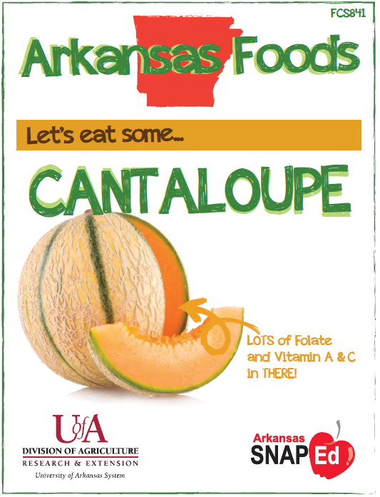 Cantelope Recipes