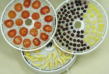 Three drying racks with sliced tomatoes on one, blueberries and other fruit on one and apple slices on the third laying out to dry.