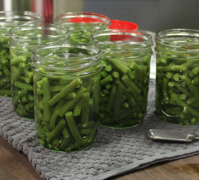 Recipes
