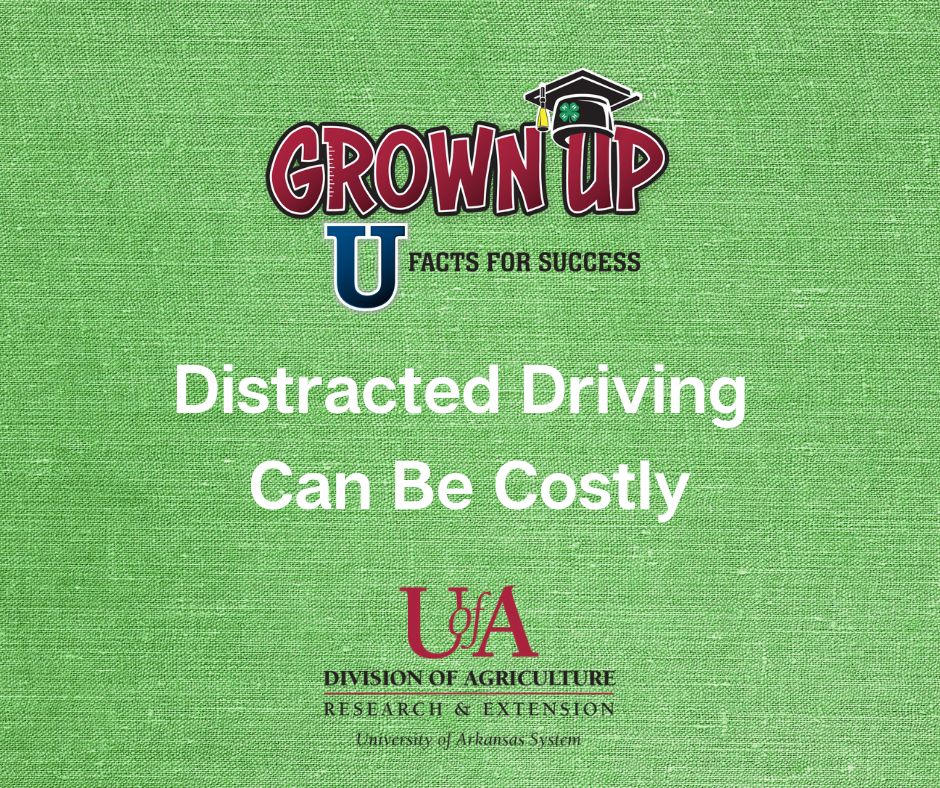 Contains the Grown Up U and the UofA System Division of Agriculture Research and Extension logos and the episode title, "Distracted Driving Can Be Costly" on a green background