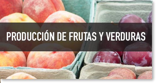 Producción de Frutas y Verduras en Granjas y el COVID – 19