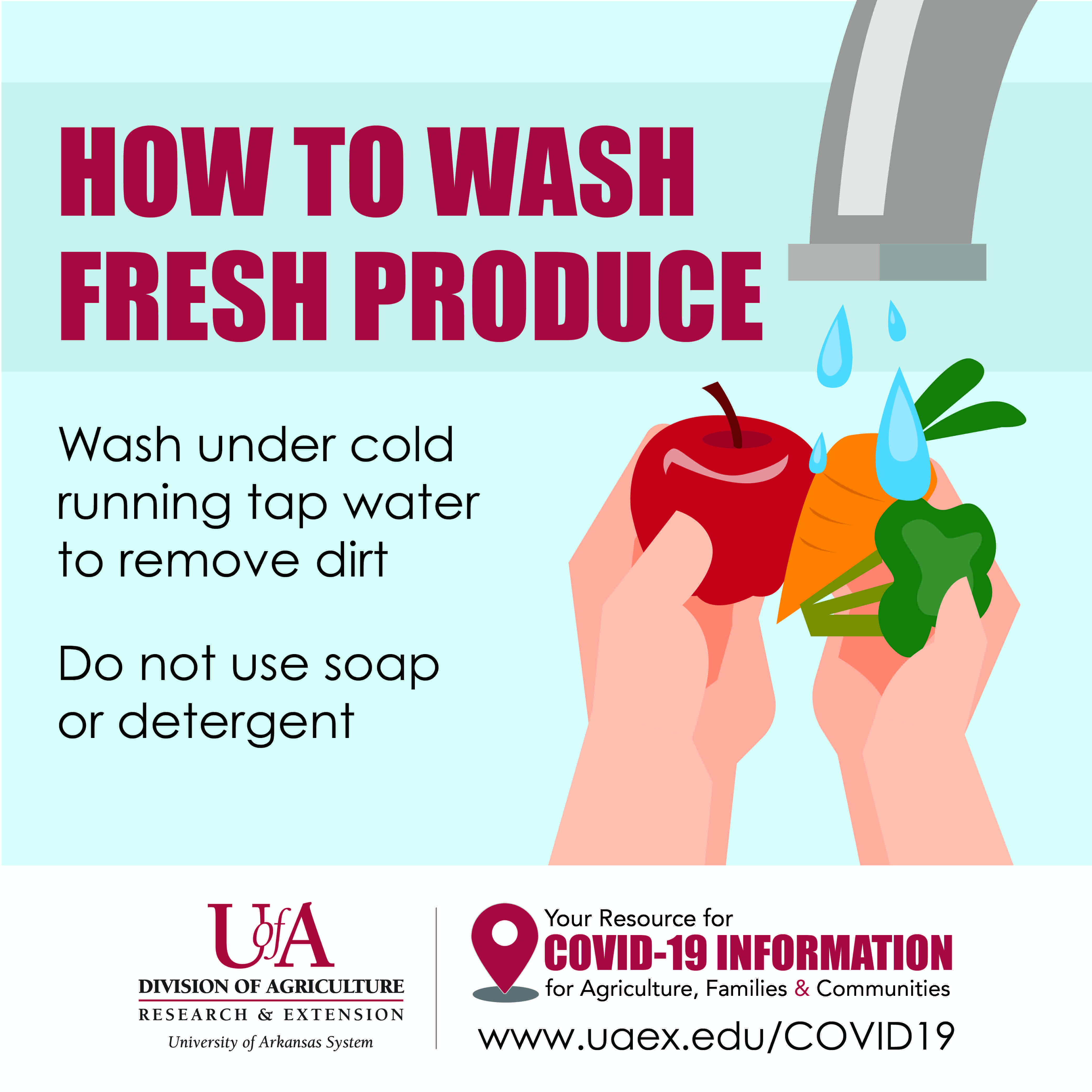 Wash your produce