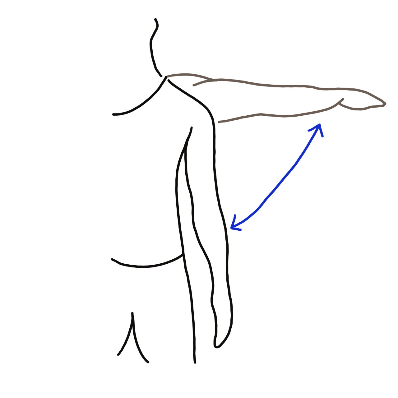 correct form for a correct side view of a raise