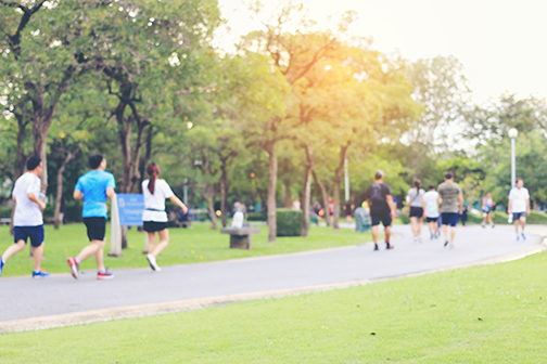 Runners and walkers on a path in a park