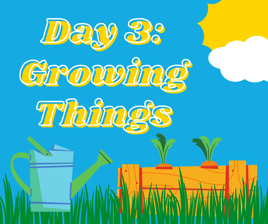 Day 3 Growing Things