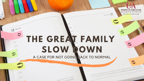 graphic with book planner and text on top reading the great familly slow down