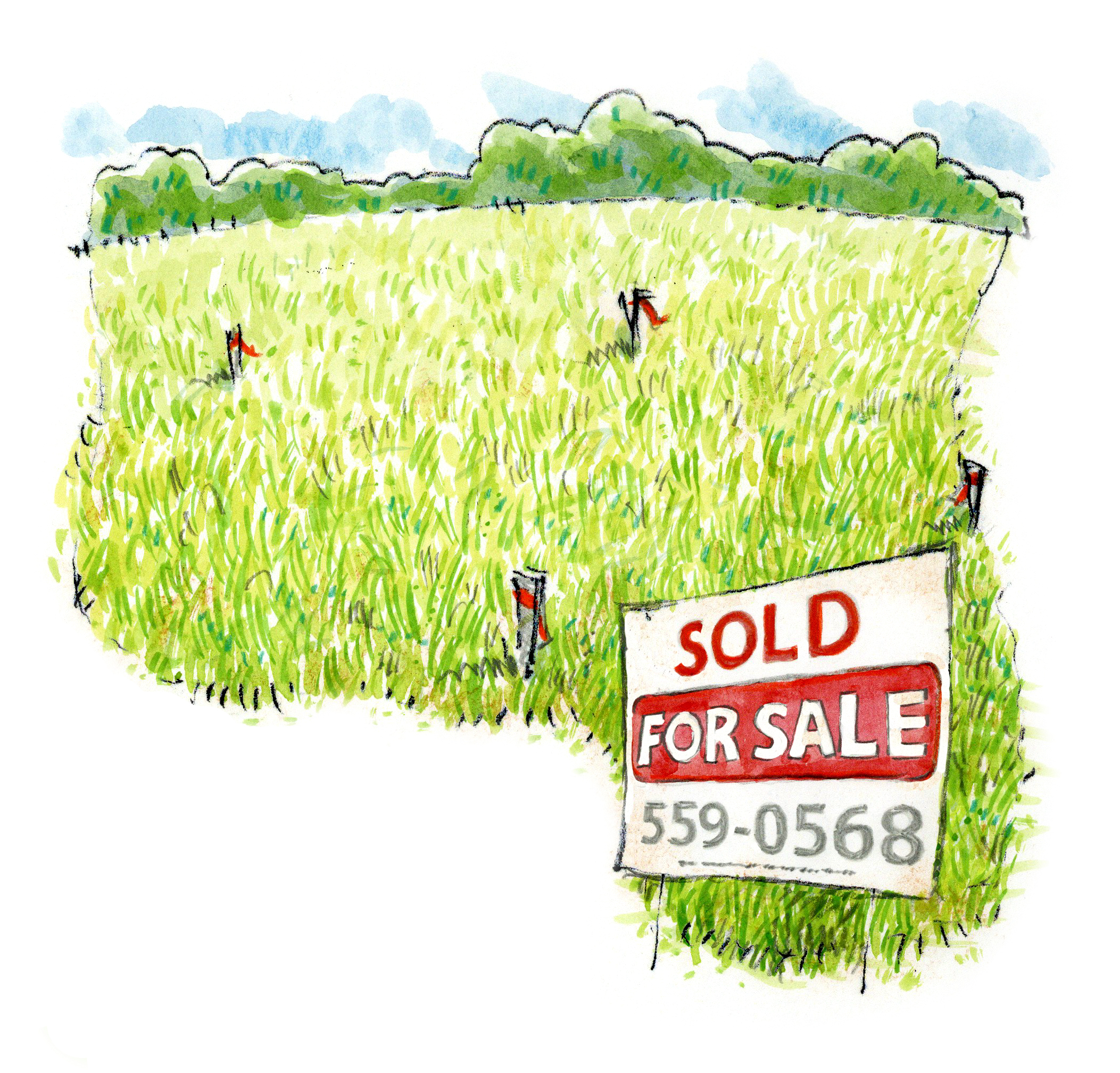 cleared land with for sale sign