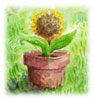 Drawing of a sunflower in a flower pot.