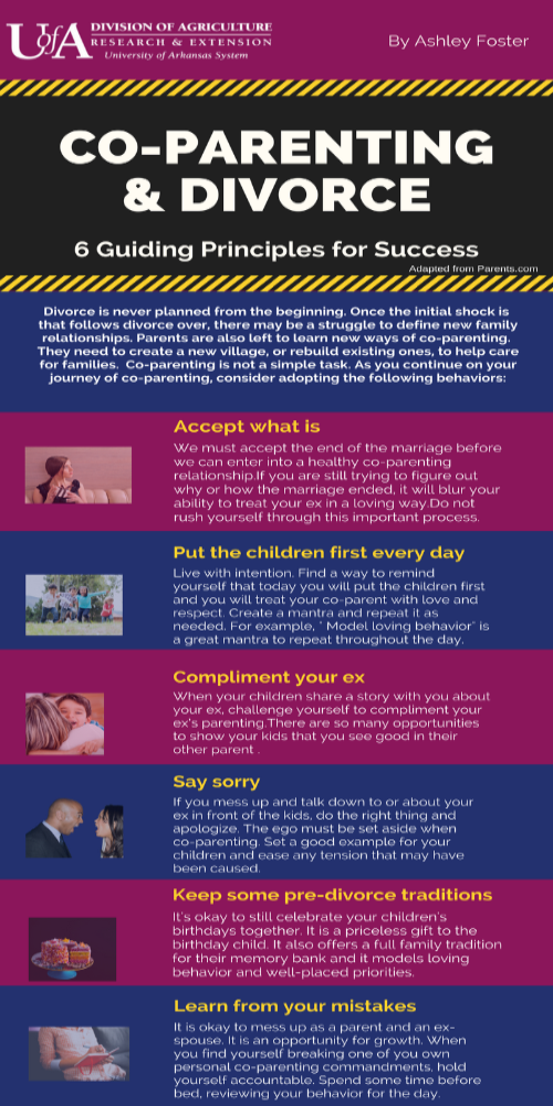 Infographic: Co-parenting and Divorce