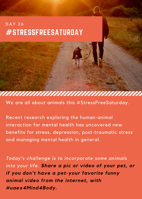 We are all about animals this #StressFreeSaturday.Today’s challenge is to incorporate some animals into your life. Share a pic or video of your pet, or if you don’t have a pet-your favorite funny animal video from the internet, with #uaex4Mind4Body.