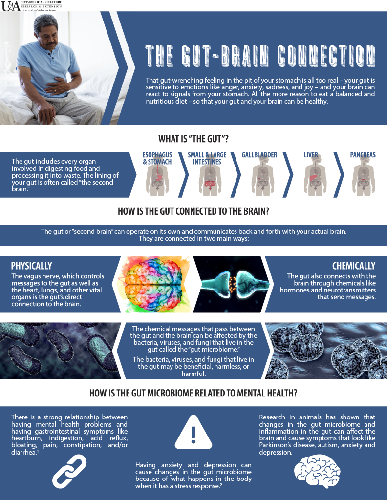 Infogrpahic: The Gut Connection