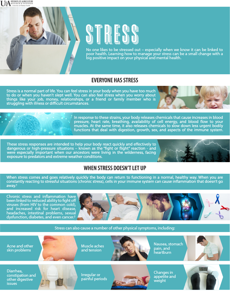 Stress Fact Sheet: for transcript follow link underneath