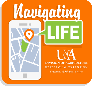 Navigating Life's Logo