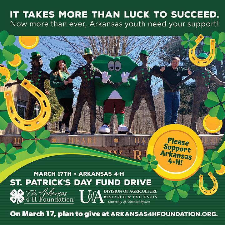 St Pat's fundraiser image 