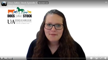 Docs talking stock episode 1 Flicker 