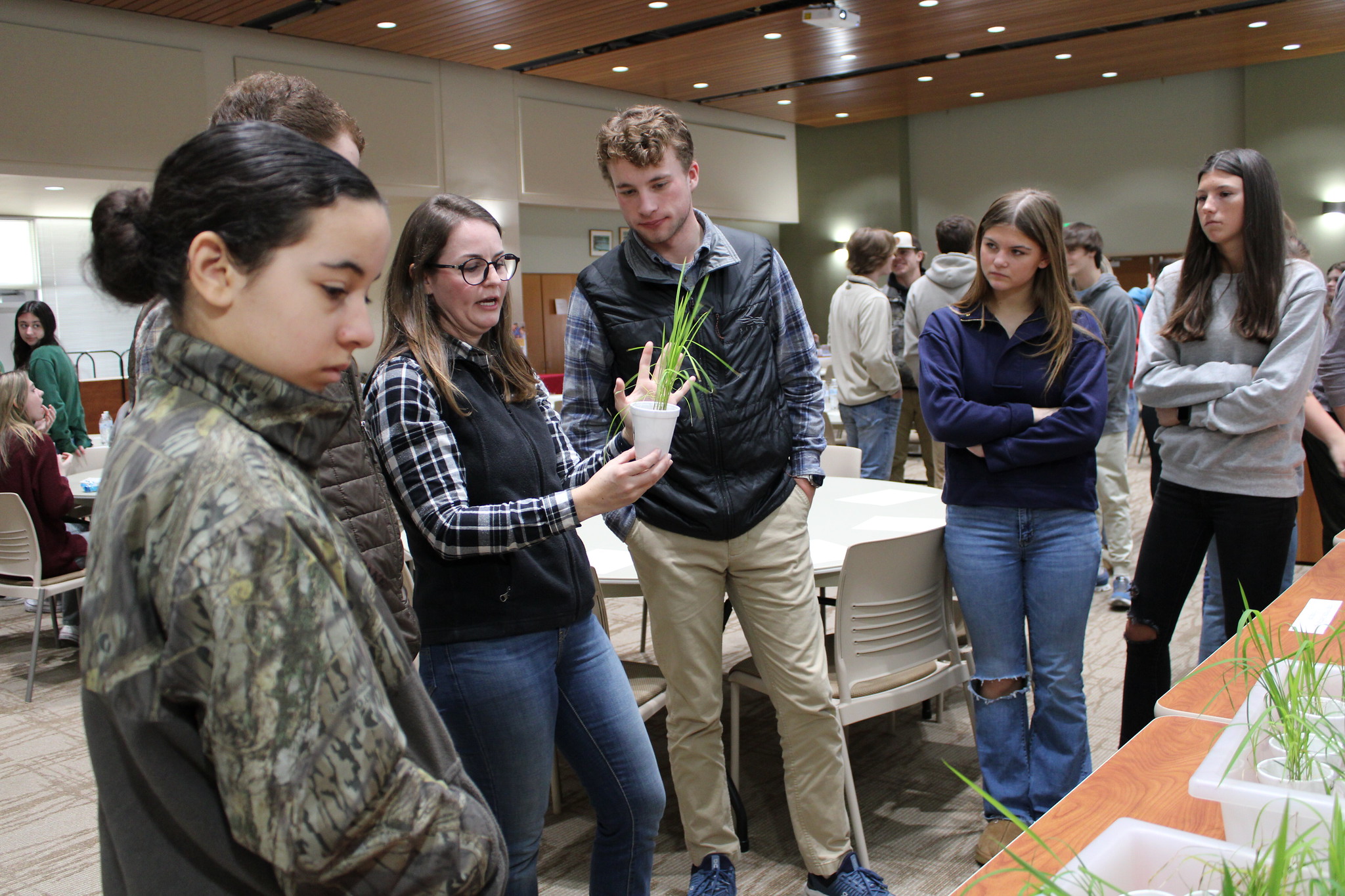 Extension Plant Pathologist shows students a rice plant in a cup, explaining the usage of seed treatment fungicides.