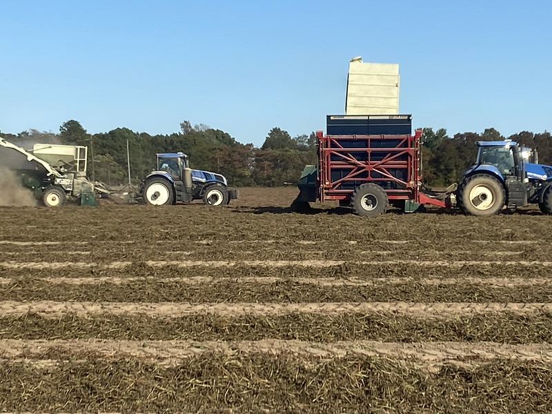 Tractors pulling harvest equiptment, harvesting peanuts