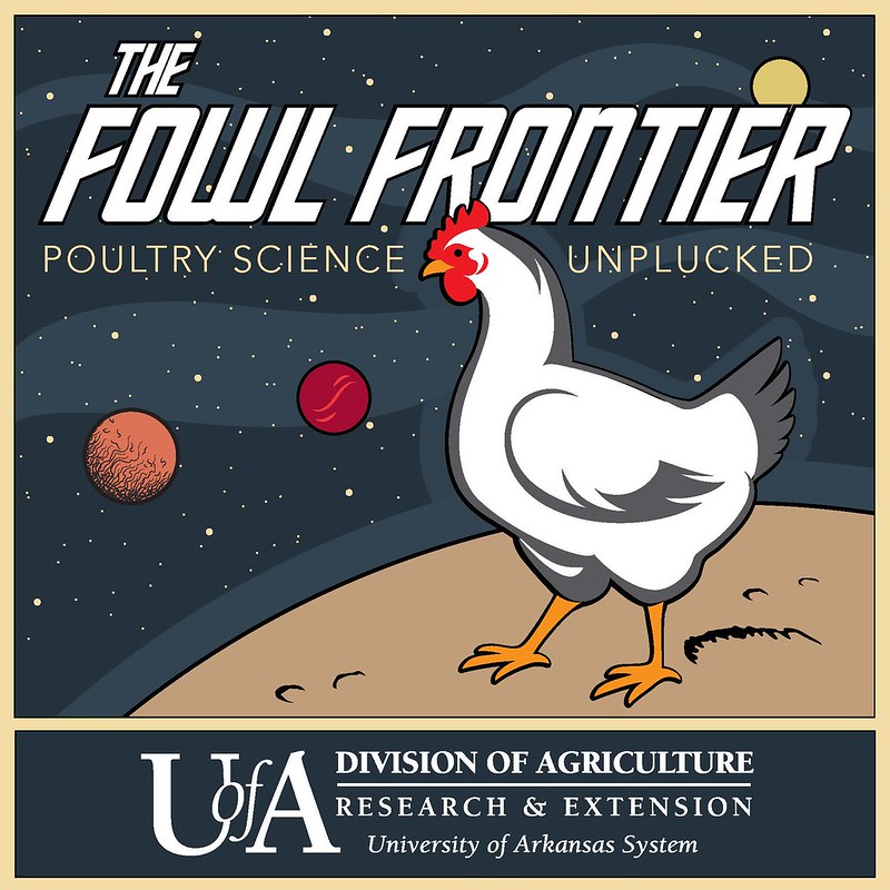 Photo shows file art for the podcast The Fowl Frontier. Art includes a chicken in outerspace.