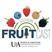 Southern fruitcast logo