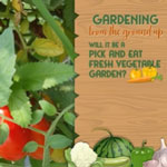 Gardening from the Ground Up Episodes 