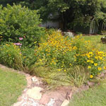 How to build a rain garden in arkansas 