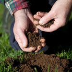 Free soil testing in Arkansas 