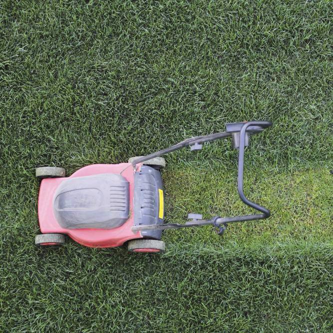 lawn mower viewed from above