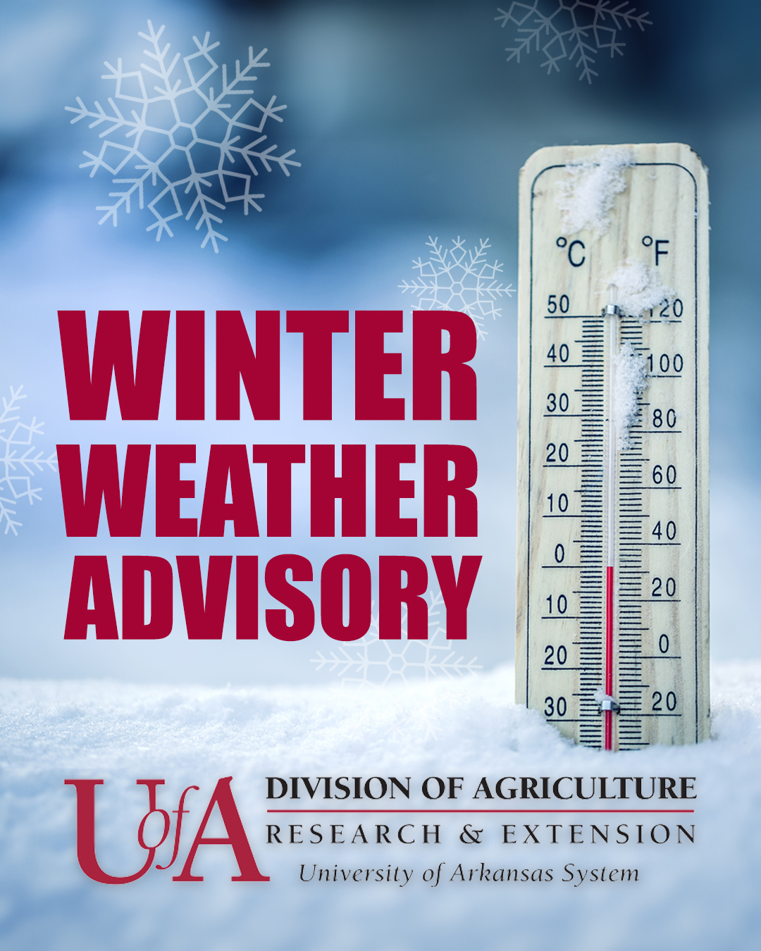 Grow Your Own Groceries Conference