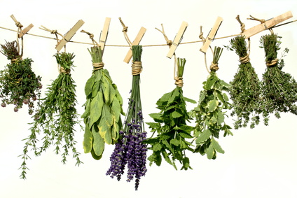 Dry herbs in a dark well ventilated area.