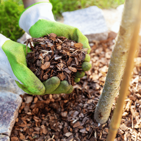 hands holding mulch in a garden