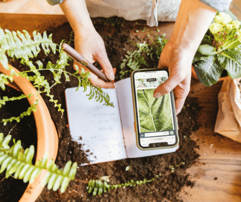 person keeping a gardening journal