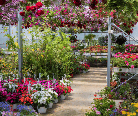 garden center