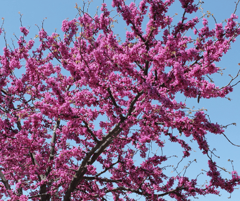 April