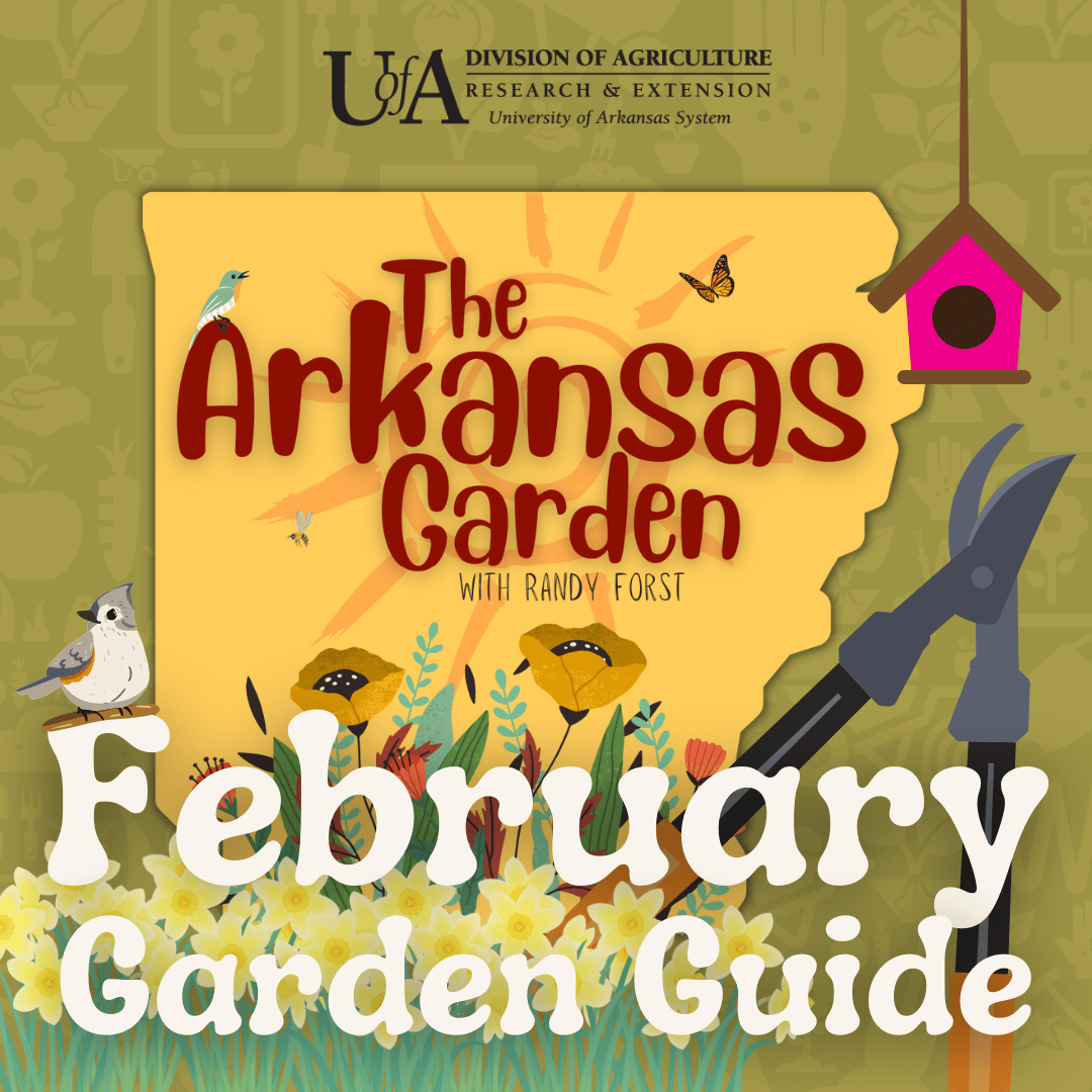 The Arkansas Garden Tips for Home Gardeners