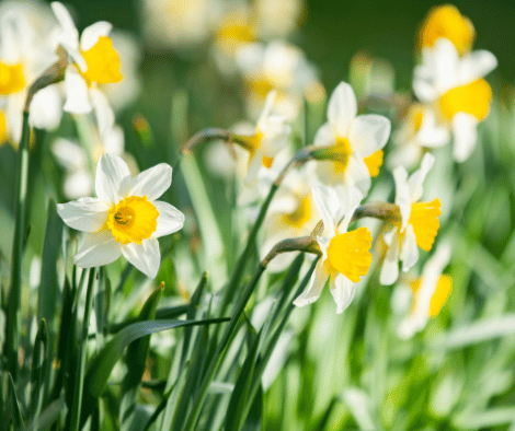 March