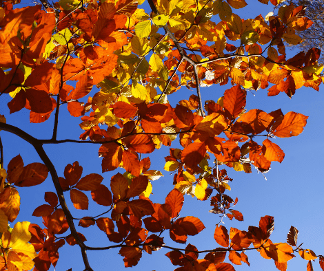 November