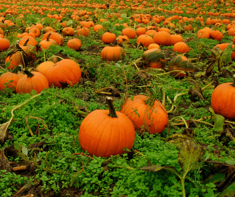 September
