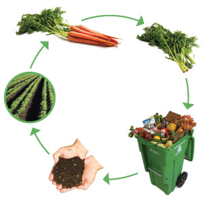 Composting Process Composting Process